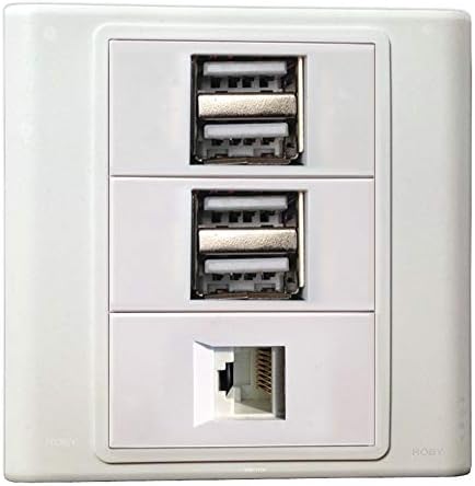 2 x 2.1 A USB Şarj Konektörlü Duvar Plakası + RJ45 CAT5E Keystone Modüler Dağıtım Jakı Konnektörleri Soket Beyaz Dekoratif