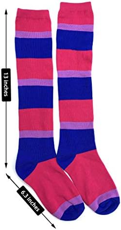 YongColer Biseksüel Gurur Bayrağı Diz Yüksek Çorap, Buzağı Çorap Üzerinde Bi Sevgilisi