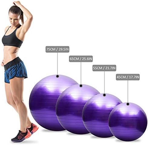 TOMSHOO Anti-Patlama Yoga Topu Kalınlaşmış Istikrar Denge Topu Pilates Barre Fiziksel Fitness Egzersiz Topu 45 CM / 55 CM /