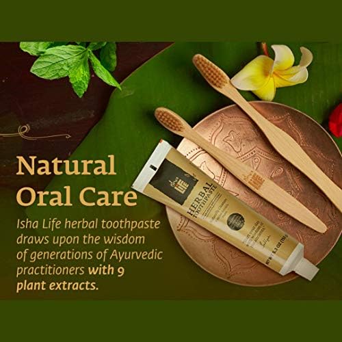 Yatsı %100 Doğal Ayurveda Bitkisel Diş Macunu-SLS ve Florür İçermez (5.3 oz), 1 Paket