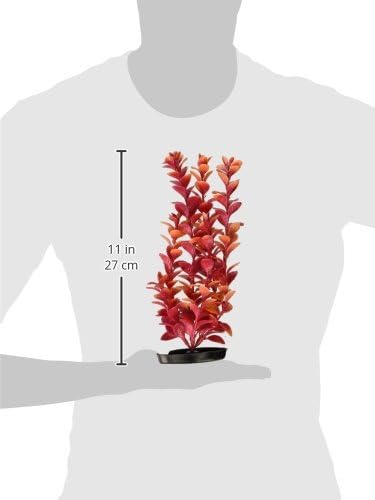 Marina Vibrascaper Kırmızı Ludwigia Büyük Bitki, 12-İnç