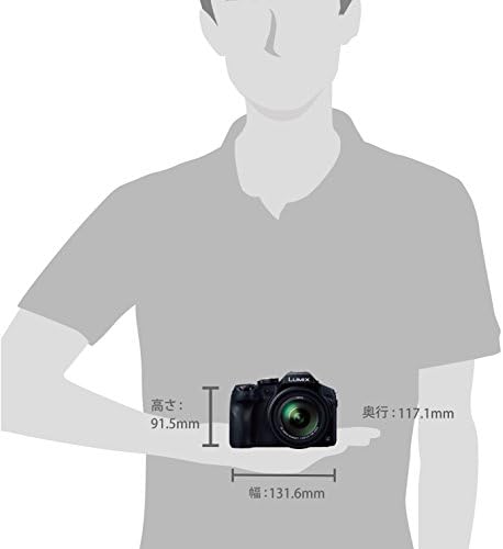 Panasonic LUMİX DMC-FZ300K 12.1 Megapiksel, 1/2.3 inç Sensör, 4K Video, Sıçrama ve Toz Geçirmez Gövde, Leica DC Lens 24X F2.