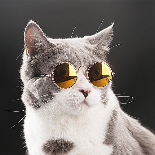 Coolrunner Komik Pet Güneş Gözlüğü ve Serin Kaplama Altın Zincir Kolye (15” x 0.39”) Ayarlanabilir Uzunluğu ile Kediler için
