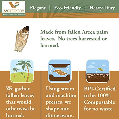 VerTerra %100 Kompostlanabilir Palmiye Yaprağı 10 inç Ekstra Büyük Kare Tek Kullanımlık Tabak, Ağır Hizmet Tipi, Çevre Dostu,