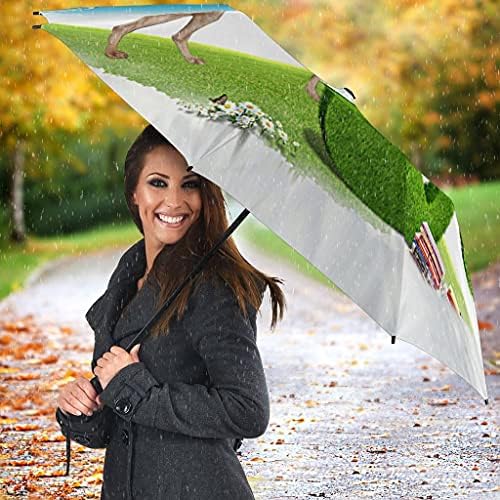 Pawlice İnanılmaz Whippet Köpek Baskı Şemsiyeleri