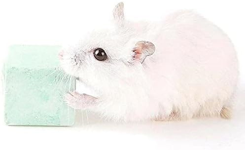 Yunanın 5 Adet Mini Taşınabilir Kalsiyum Mineral Diş Taşlama Oyuncaklar Çiğnemek Küp Hamster Molar Oyuncaklar Tavşan Sıçan