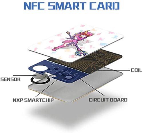 FashionCollect NFC Etiketi Oyun Kartları İçin Zelda Nefes Vahşi Anahtarı / Wii U-22pcs Kartları ile Tutucu