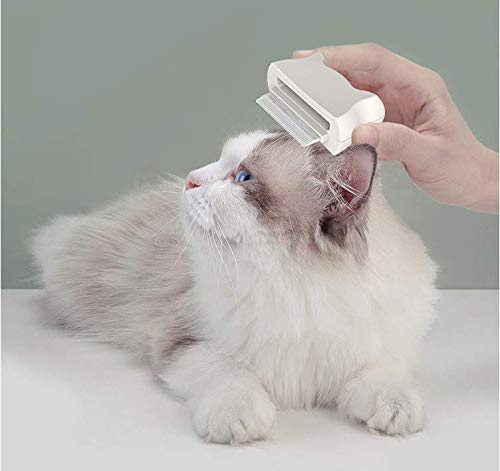 Kedi Kılı Fırçası ve Bakım Fırçası, Masaj ve Epilasyon fonksiyonları ile Kombine Edilmiş bir Fırça, Üçköşe Kedi Kılı Fırçası,