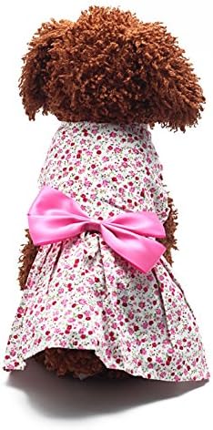 Yeni Bahar Yaz Pet Lady Köpek Elbise Çiçek Etek Küçük Köpek Prenses Yay Elbise
