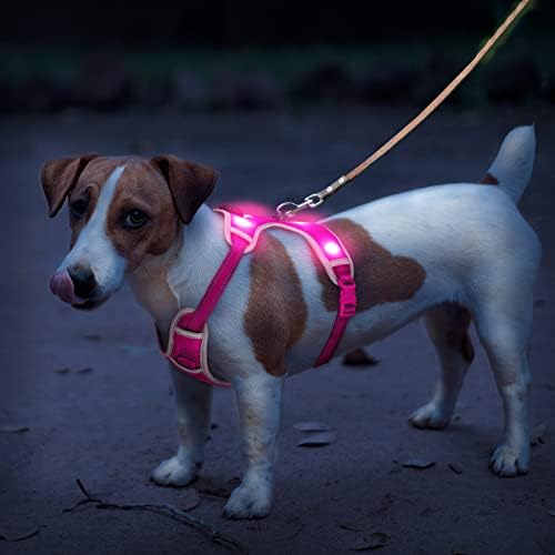 Domagıker Led Köpek Koşum - Yürüyüş Hiçbir çekme ışık-Up Pet Koşum, Ayarlanabilir Hava Mesh Yastıklı Parlayan Köpek Yelek,