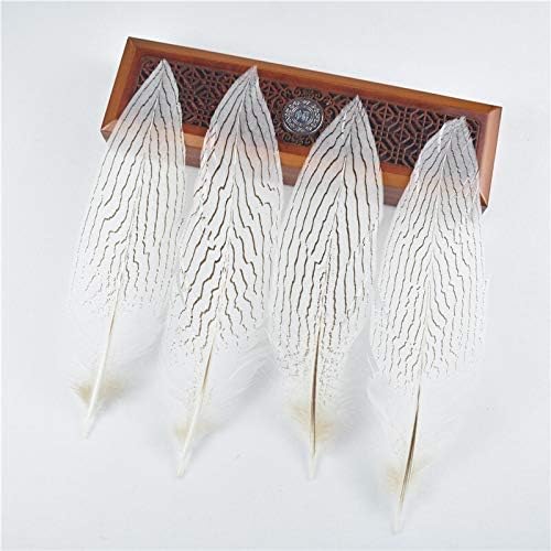 Zamihalaa 10-25 CM-4-10 inç Doğal Gümüş Sülün Kuyruk Tüyleri DIY Tüyler Takı Yapımı için Düğün Süslemeleri El Sanatları Aksesuarları-10-15