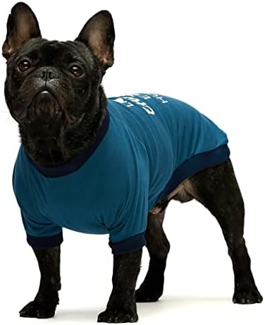 Fitwarm 2-Pack Cadılar Bayramı Köpek Gömlek için Pet Giysi %100 % Pamuk Köpek T-Shirt Kedi Tee Nefes Sıkı Kostümleri Küçük