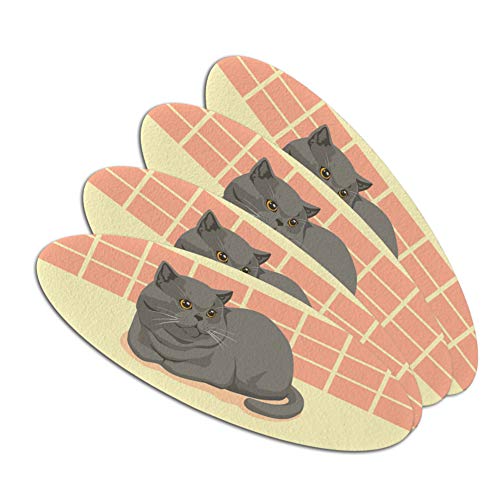 Tombul ingiliz kısa saç gri kedi Çift Taraflı Oval tırnak törpüsü Zımpara tahtası Seti 4 Paket