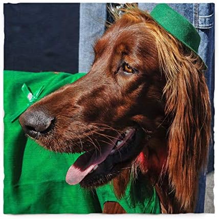 ARTSHOWİNG Aziz Patrick Günü Dikdörtgen Masa Örtüsü Kahverengi Köpek İrlandalı Kutlama Günü Pamuk Keten Masa Örtüsü için Mutfak