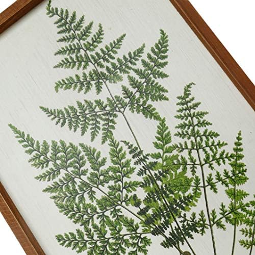 NİKKY EV Botanik Bitki Baskılar Çerçeveli-20 x 14 Fern Resimleri Sanat Duvar Dekor - Gerçek Ahşap Çerçeveler ile Vintage Bak