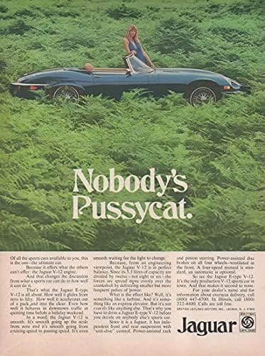 2 Orijinal Dergi Basılı reklam seti: 1974 Jaguar E-Type Coupe, V-12 Motor, Kadın, Orman Sahnesi, Bir Jaguarı Yakala.nihai Kedi,