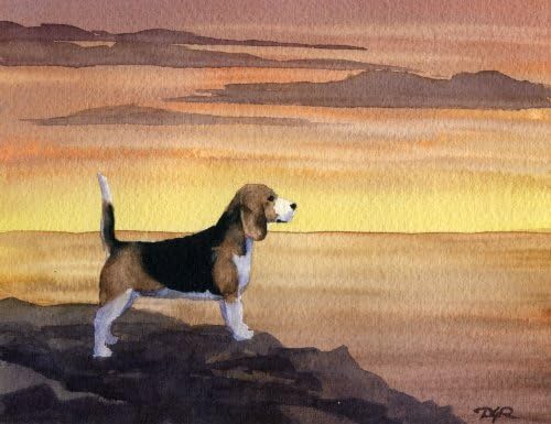 Beagle Günbatımı Köpek Beagle Sanat Baskı Suluboya Sanatçı DJ Rogers tarafından