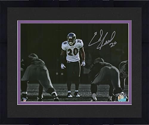 Çerçeveli Ed Reed Baltimore Ravens İmzalı 11 x 14 Spot Fotoğraf-İmzalı NFL Fotoğrafları
